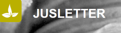 Beitrag Jusletter